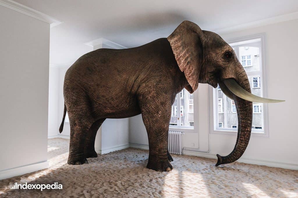The Elephant in the Room: Why Bonds are Still a Good Investment Even When the Stock Market is Rallying